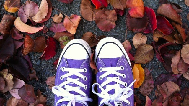 Purple Shoes in Leaves