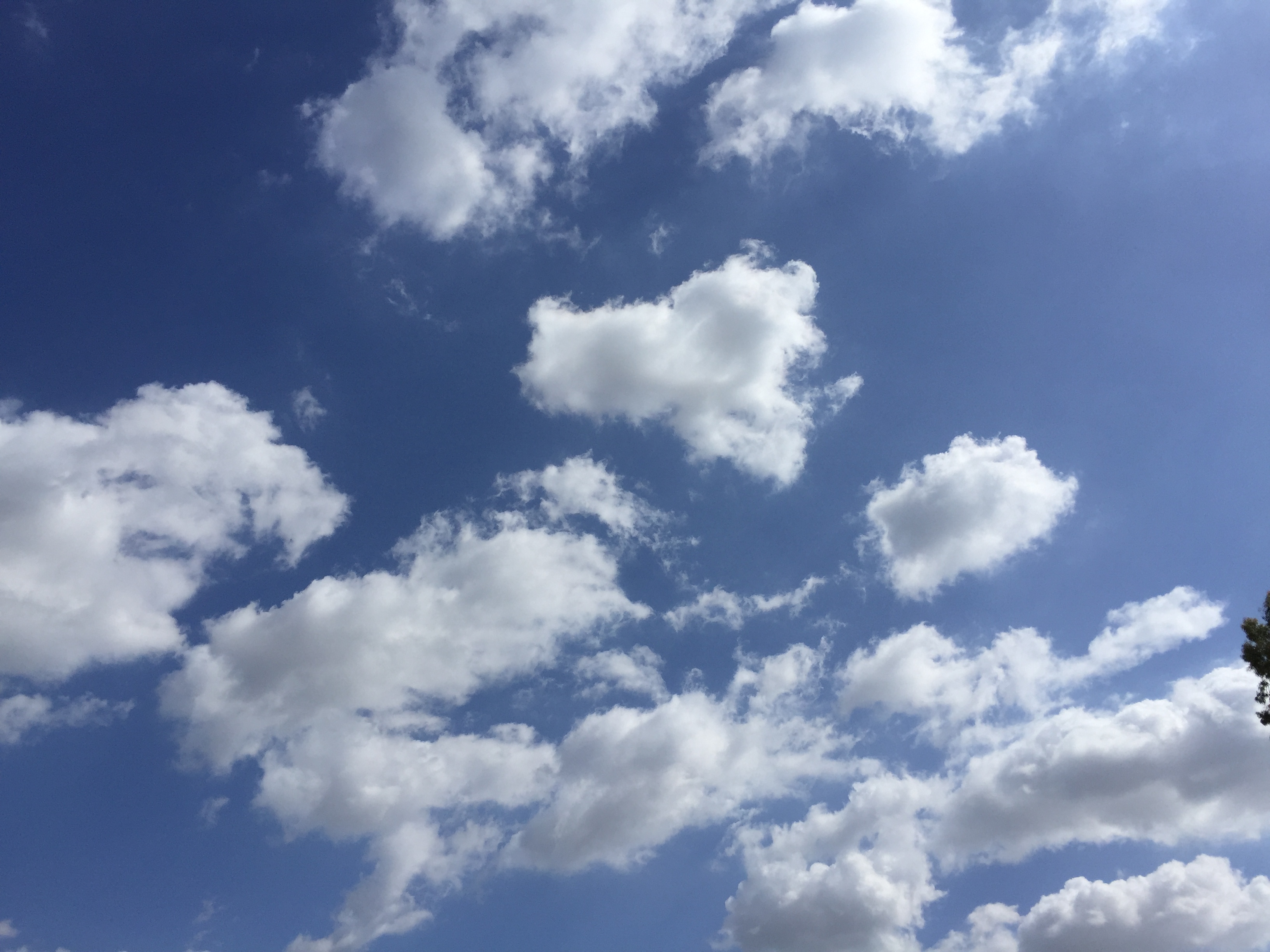 1st Day of Fall Clouds