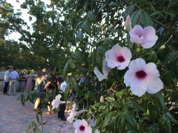 17.10.22 - Bittner Kunstt Wedding - Crowd