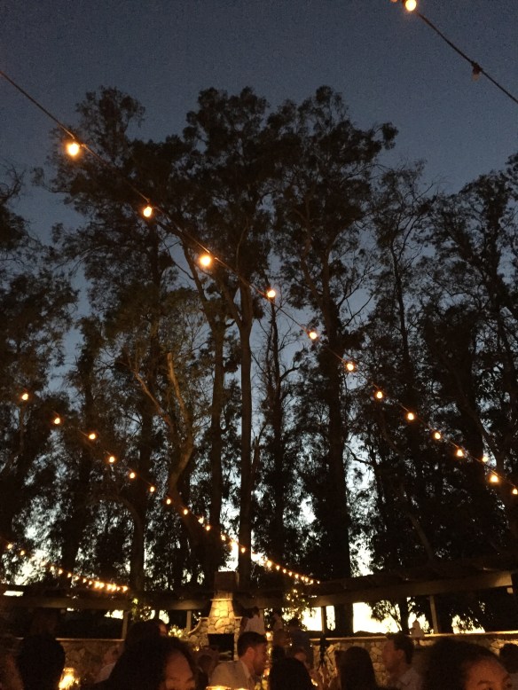 17.10.22 - Bittner Kunstt Wedding - Sunset