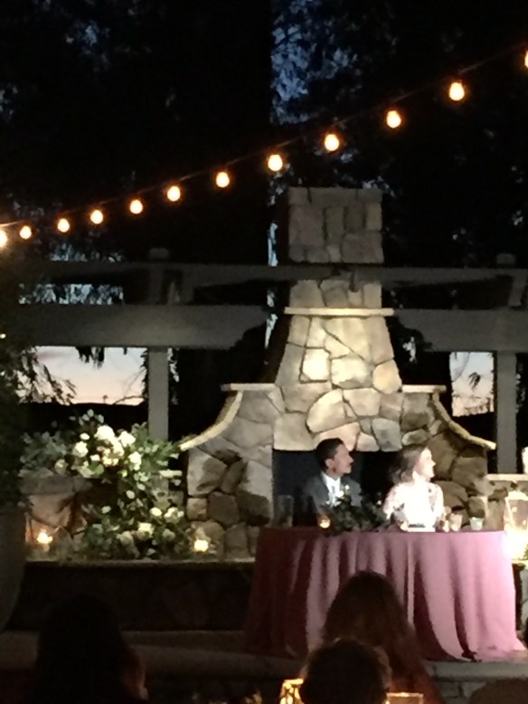 17.10.22 - Bittner Kunstt Wedding - Toast Time