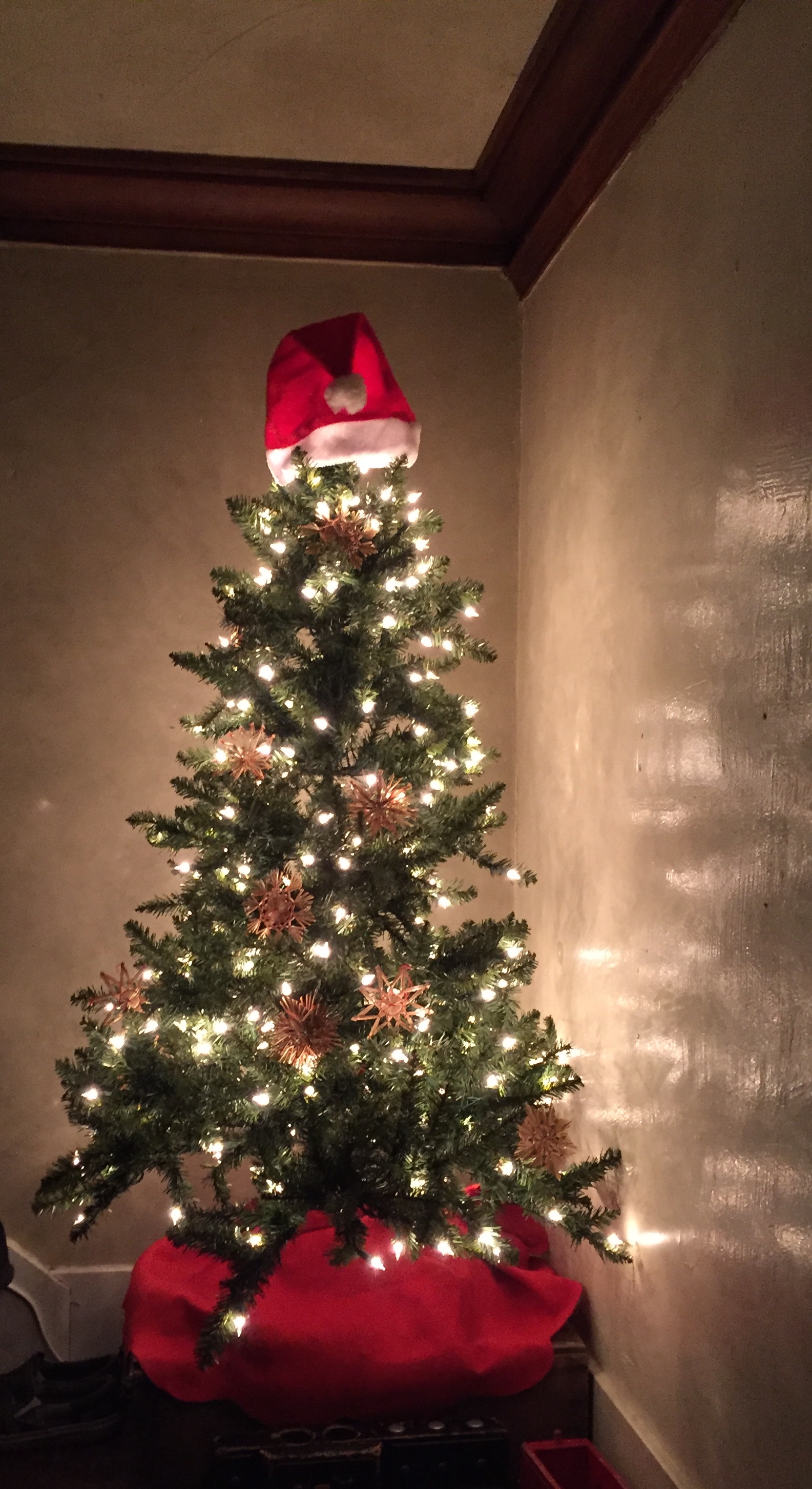 Landing Tree by Lindsay - Dec. 2017