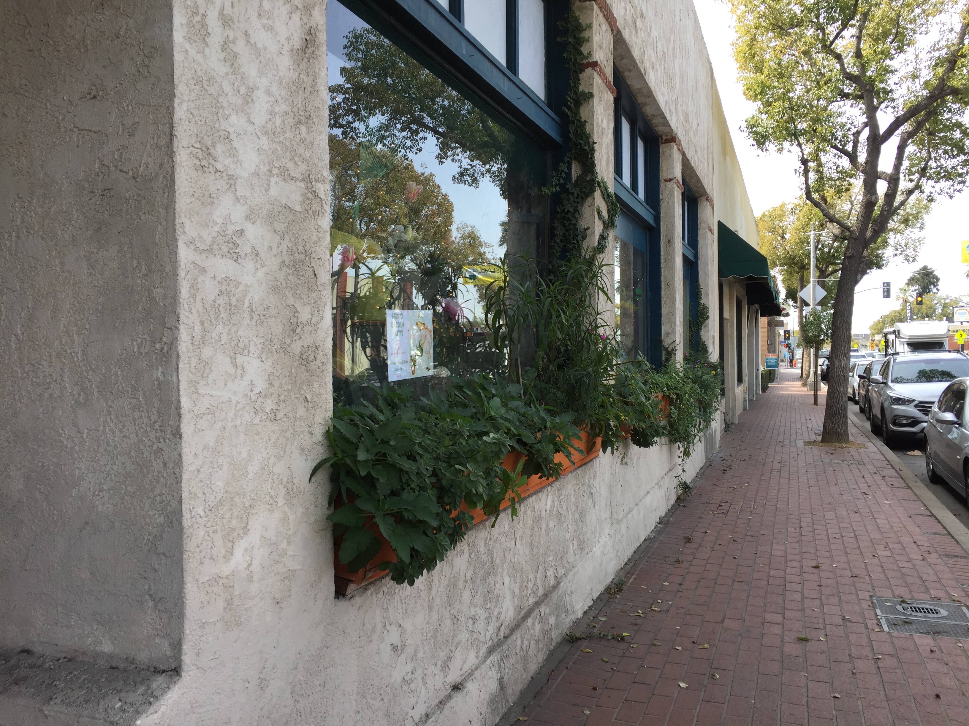 Country Road Antiques Window Boxes - Orange 2018-3-9
