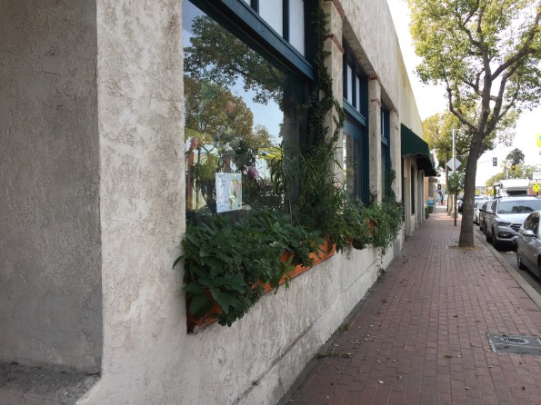 Country Road Antiques Window Boxes - Orange 2018-3-9