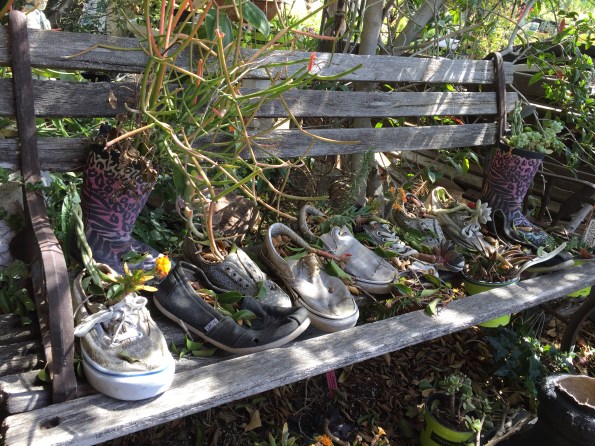 Shoes on a Bench with Plants - Orange 2018-3-9