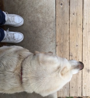 Cindi (feet) and Sam on Porch Side-by-Side