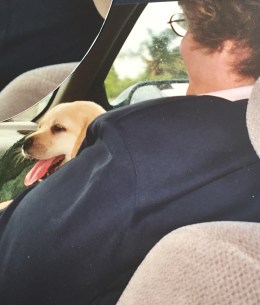 Sam - Bringing Home Sam 2