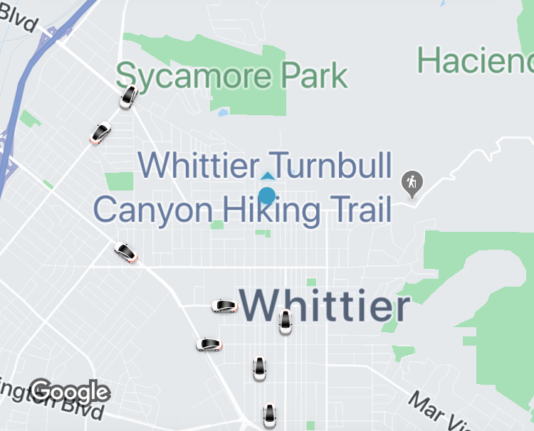 Uber Post - Ants on the Road